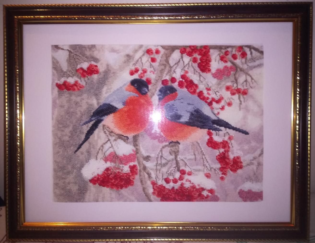 Изображение к отзыву Елена Епифанова