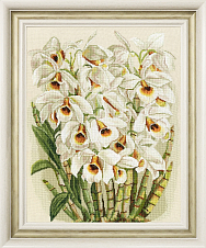Вышивка ЛЦ-083 Белая орхидея